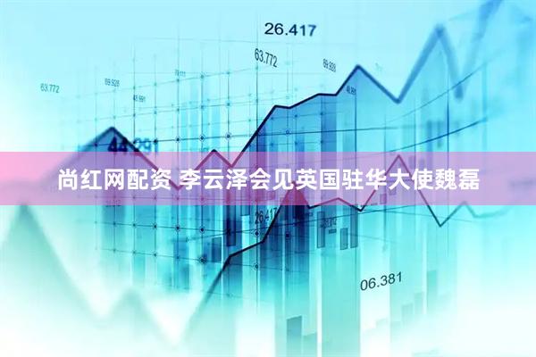 尚红网配资 李云泽会见英国驻华大使魏磊